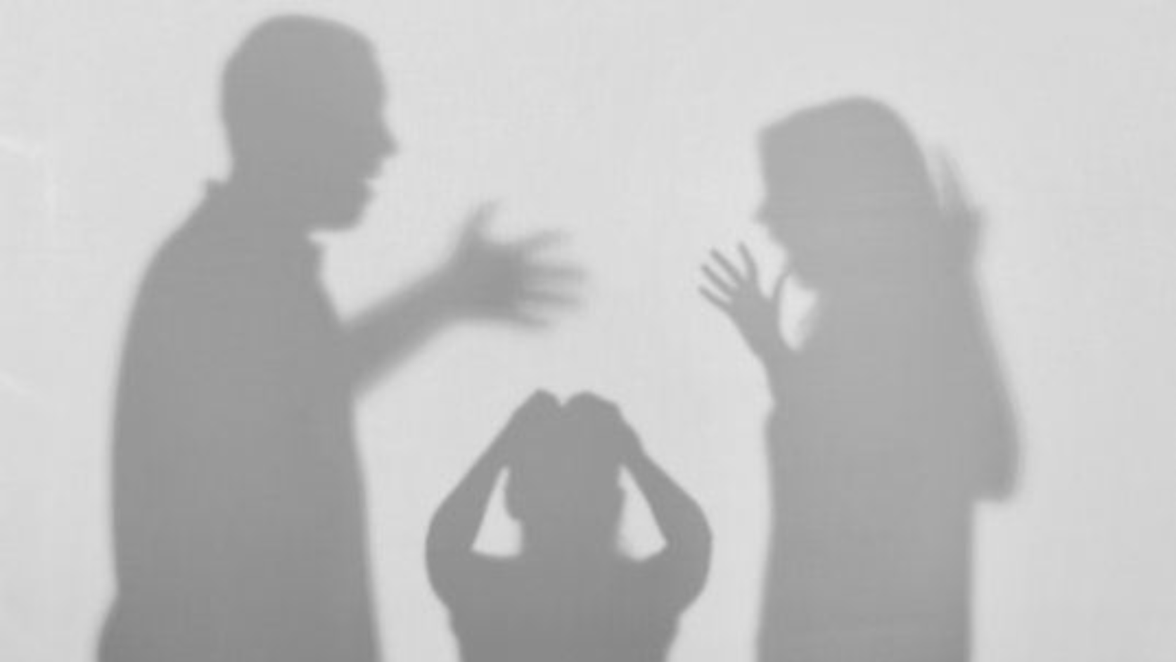 Best Family Dispute Advocate in Noida