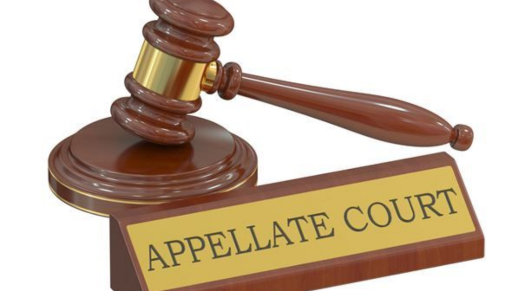 Appellant Litigation in Noida