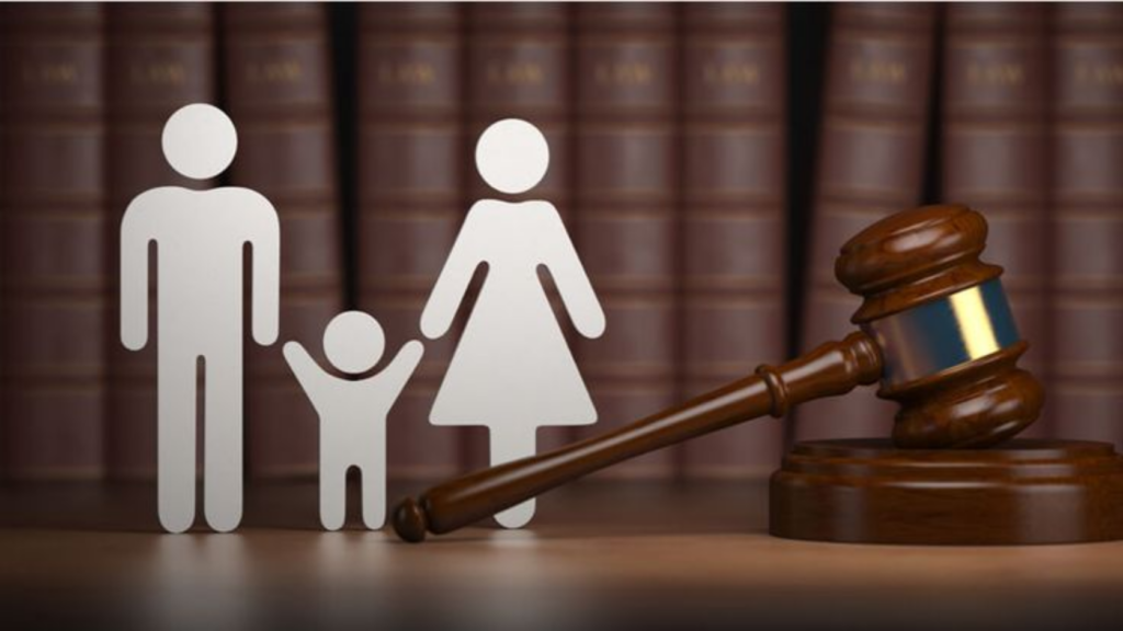 Best Child Custody Lawyers in Noida