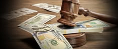 Appellate Litigation
