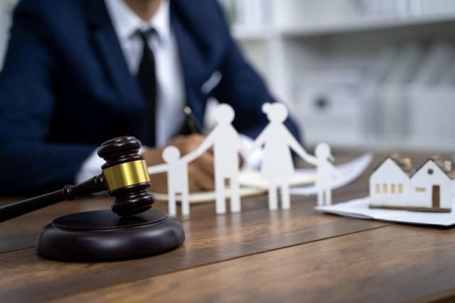 Custody and Visitation Rights Litigation